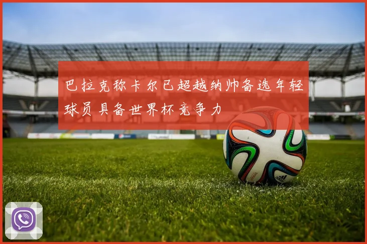专家解读：世界杯官方合作平台与非官方渠道优劣分析