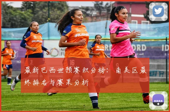 最新巴西世预赛积分榜：南美区最终排名与赛果分析