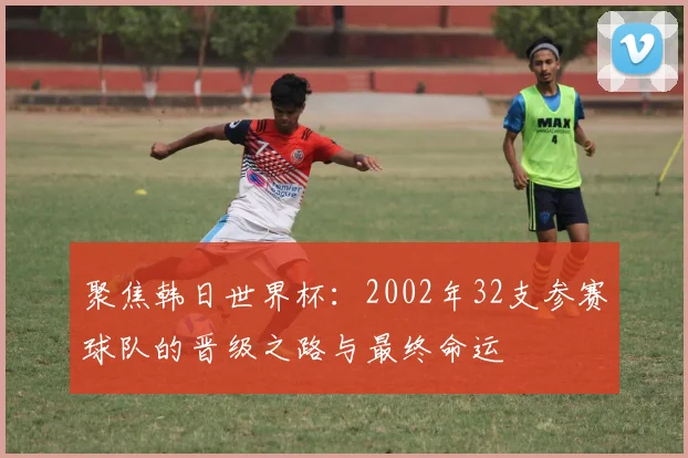 聚焦韩日世界杯：2002年32支参赛球队的晋级之路与最终命运